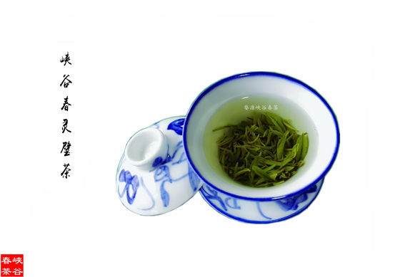 喝茶增加人們的骨質(zhì)密度