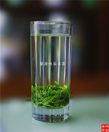 茶多酚相關(guān)知識(shí)