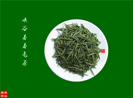 茶多酚相關(guān)知識(shí)