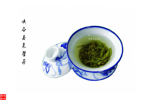 婺源峽谷春靈璧茶