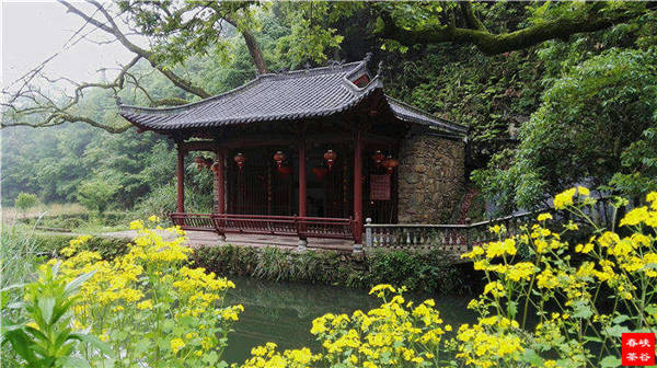 鄉(xiāng)村美景憶西源,茶香還數(shù)峽谷春