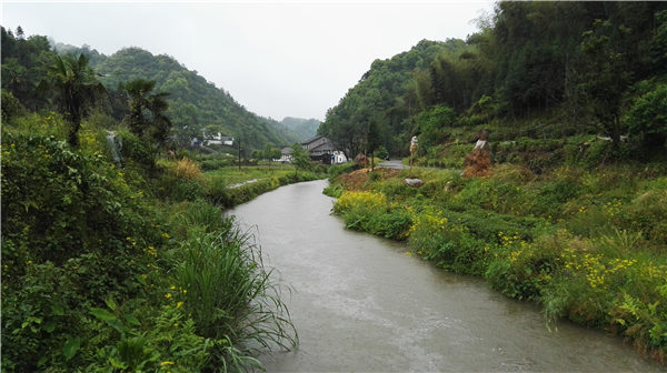 鄉(xiāng)村美景憶西源,茶香還數(shù)峽谷春