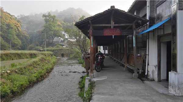 鄉(xiāng)村美景憶西源,茶香還數(shù)峽谷春