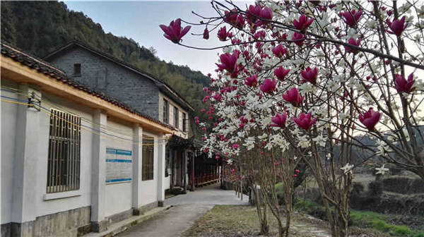 鄉(xiāng)村美景憶西源,茶香還數(shù)峽谷春
