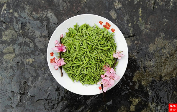 鄉(xiāng)村美景憶西源,茶香還數(shù)峽谷春