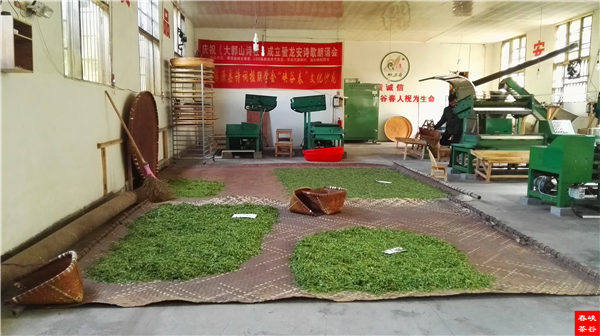 鄉(xiāng)村美景憶西源,茶香還數(shù)峽谷春