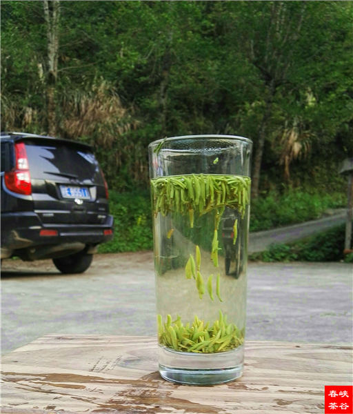 鄉(xiāng)村美景憶西源,茶香還數(shù)峽谷春