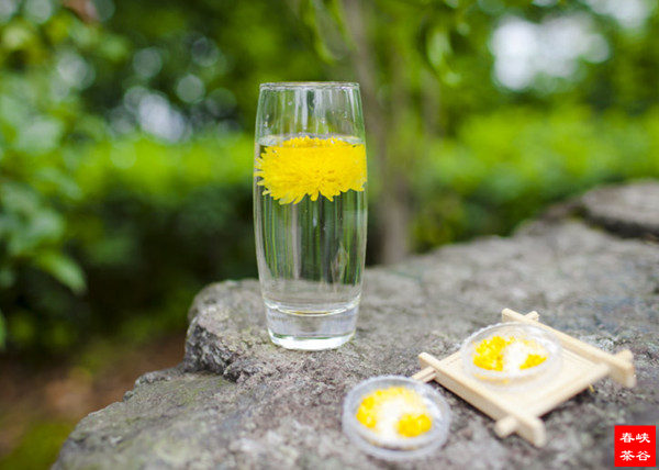 菊花茶的營養(yǎng)與功效宜忌