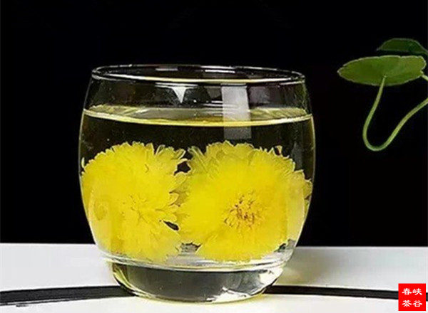菊花茶的營養(yǎng)與功效宜忌