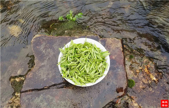 峽谷春靈壁茶