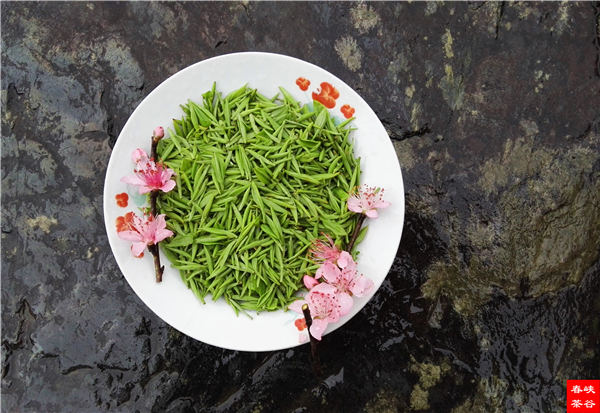 茶為父 水為母