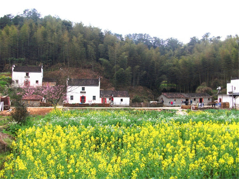西源——石峽谷韻春意濃