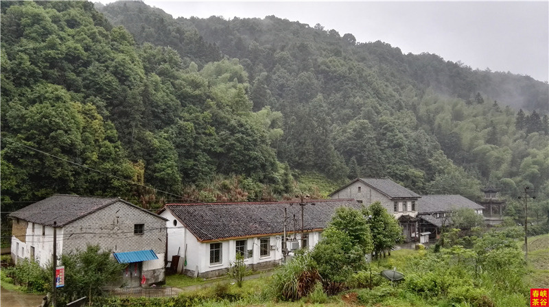 西源——石峽谷韻春意濃
