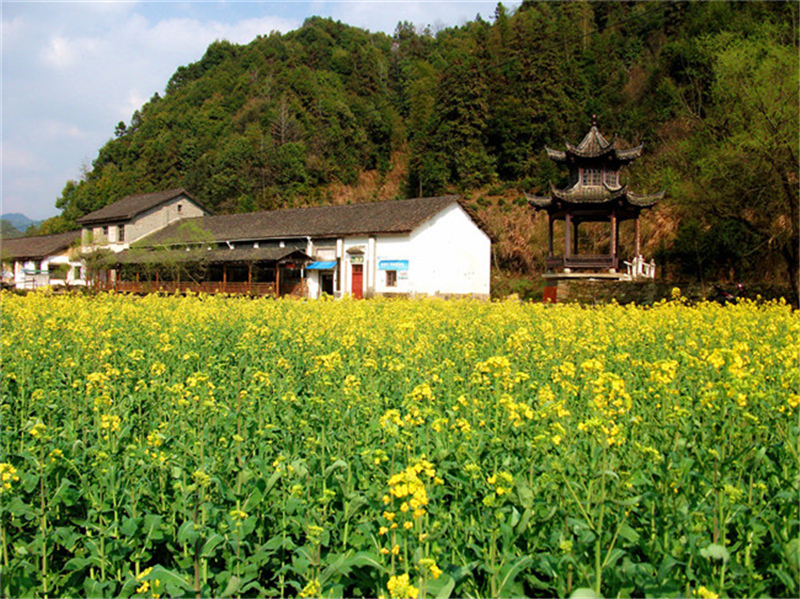 西源——石峽谷韻春意濃