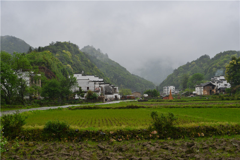 西源——石峽谷韻春意濃
