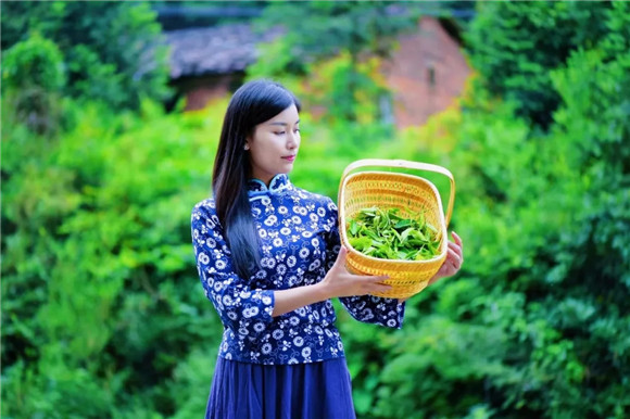 走進(jìn)婺里茶鄉(xiāng),讓生命皈依自然的本真