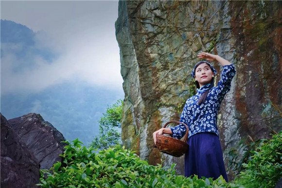 走進(jìn)婺里茶鄉(xiāng),讓生命皈依自然的本真