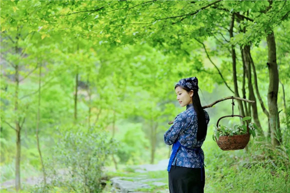 婺源鄉(xiāng)間有茶香