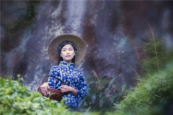 婺源鄉(xiāng)間有茶香