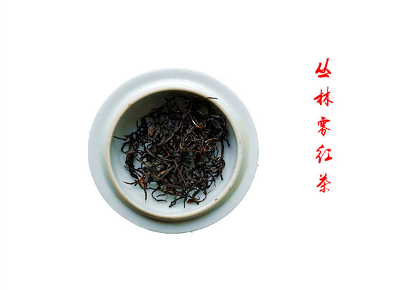 齊貴飛--峽谷深處一抹春