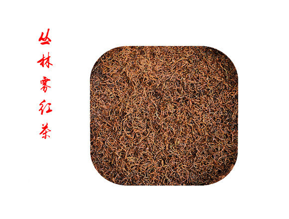 齊貴飛--峽谷深處一抹春