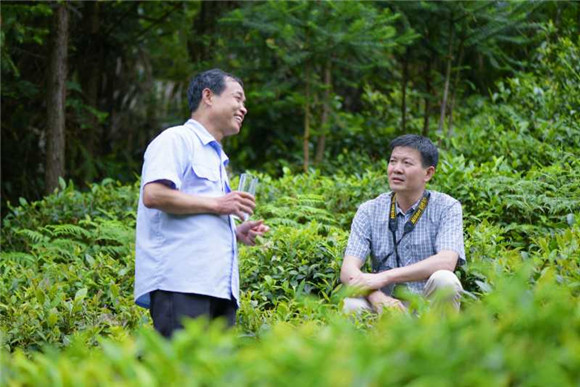 齊貴飛--峽谷深處一抹春
