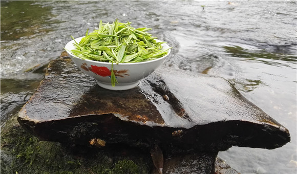 齊貴飛--峽谷深處一抹春