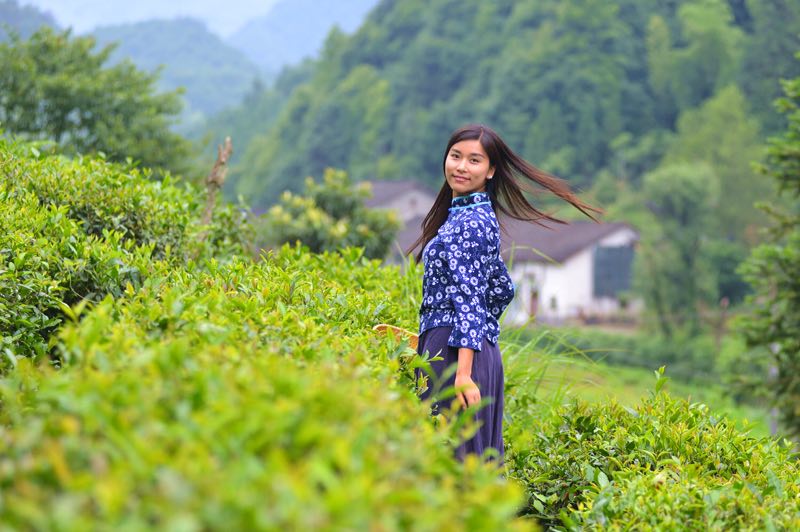 喝愛茶的人優(yōu)雅、睿智、自信!
